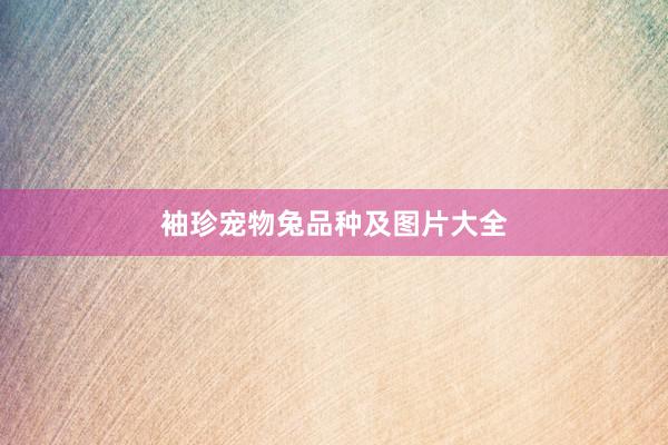 袖珍宠物兔品种及图片大全